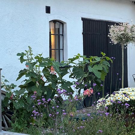 Backadal Gård BnB Ystad Eksteriør bilde