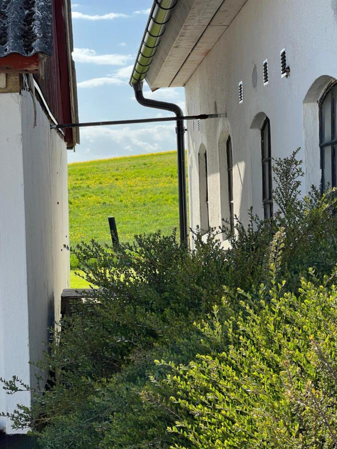 Backadal Gård BnB Ystad Eksteriør bilde