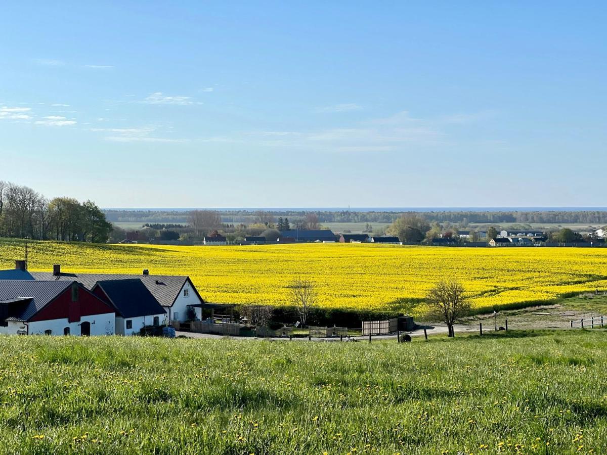 Backadal Gård BnB Ystad Eksteriør bilde