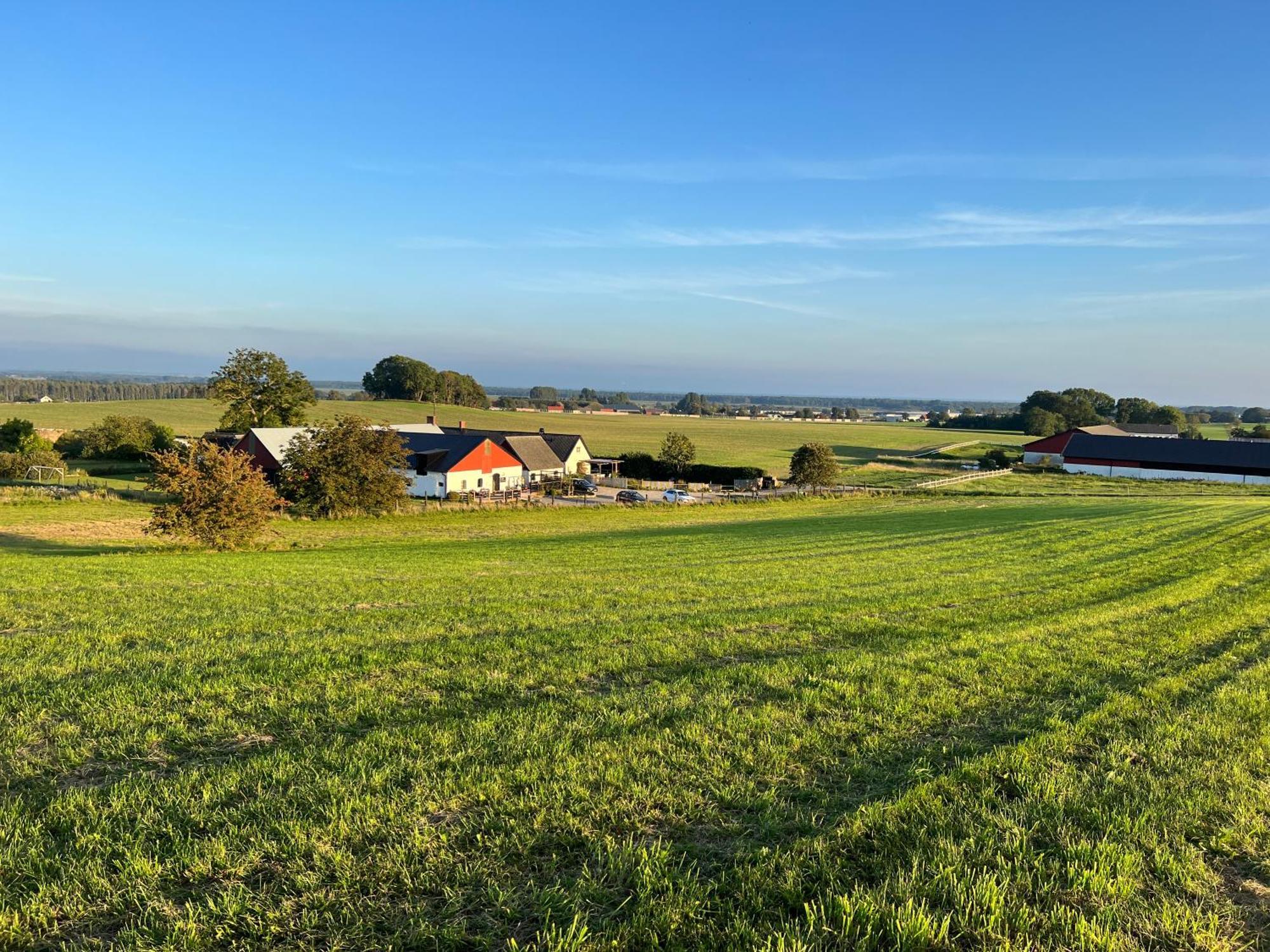 Backadal Gård BnB Ystad Eksteriør bilde