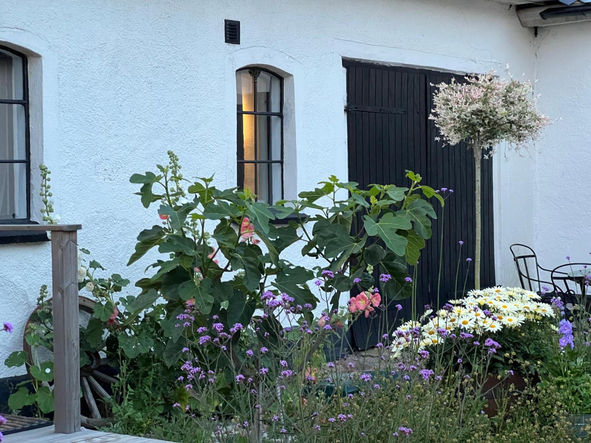 Backadal Gård BnB Ystad Eksteriør bilde
