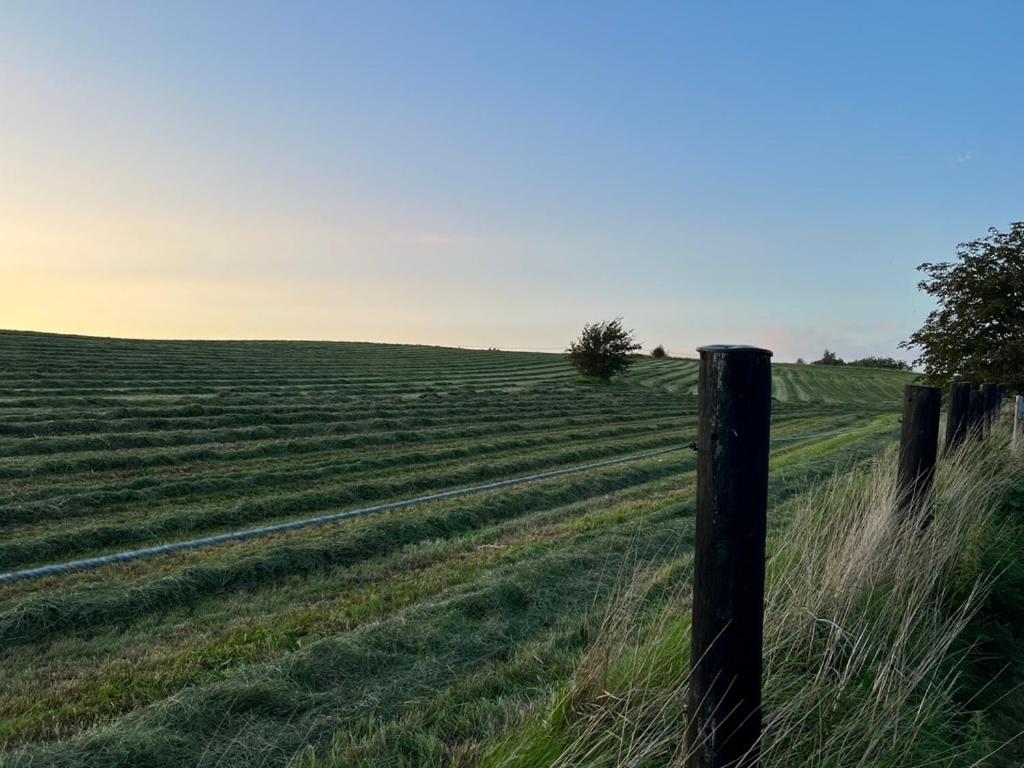 Backadal Gård BnB Ystad Eksteriør bilde