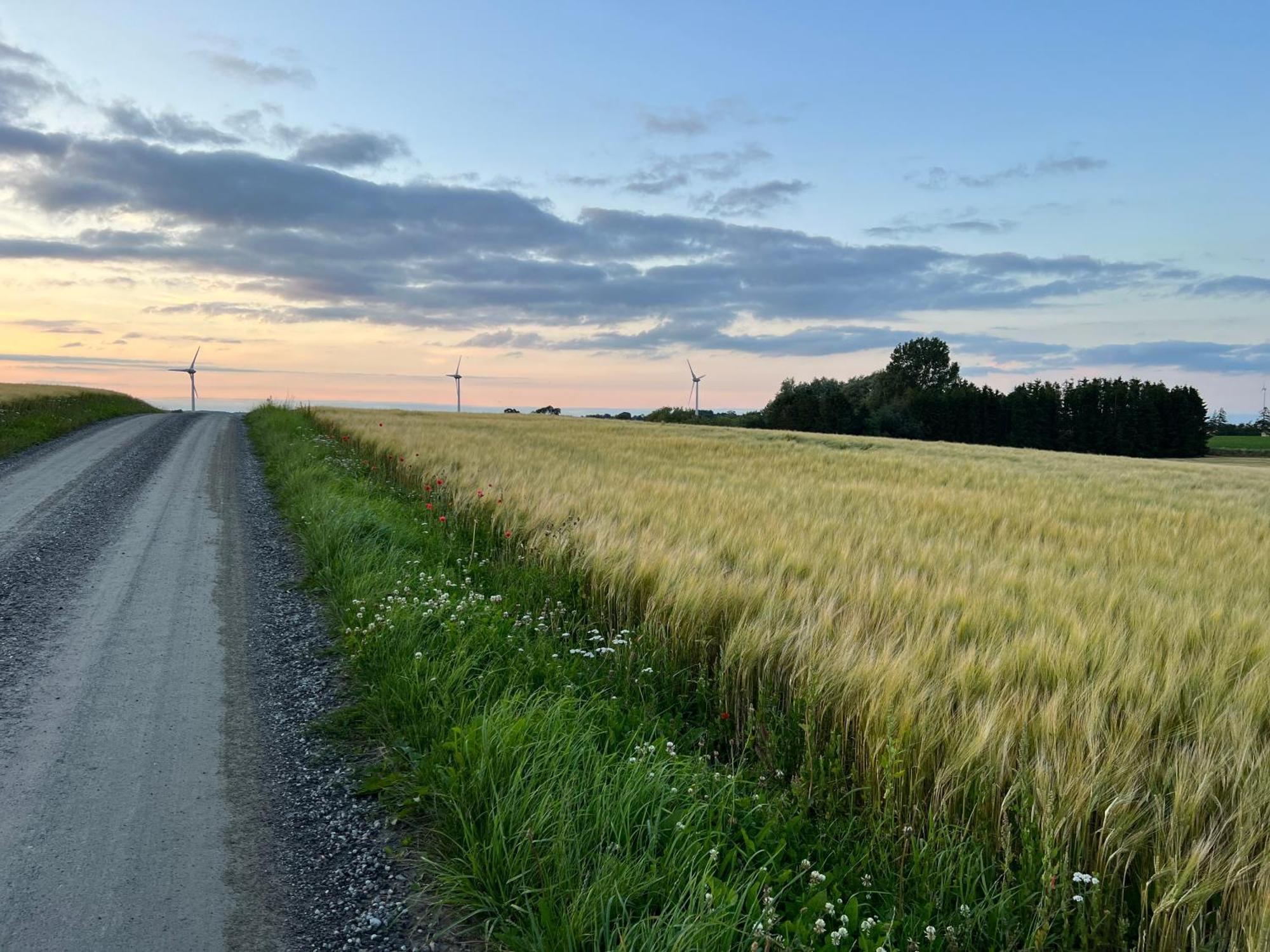 Backadal Gård BnB Ystad Eksteriør bilde